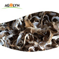 Premium quality nutrious dried  Grey Oyster Mushroom